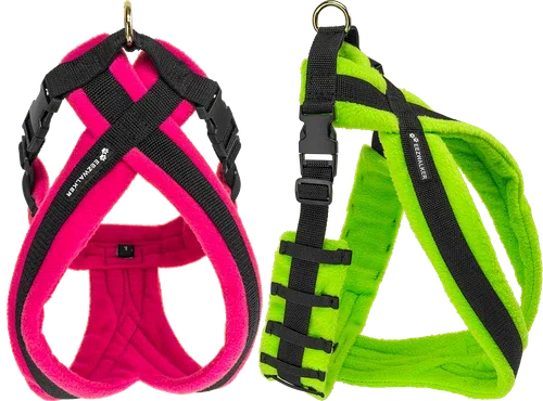 How to Fit a No Pull Harness Correctly