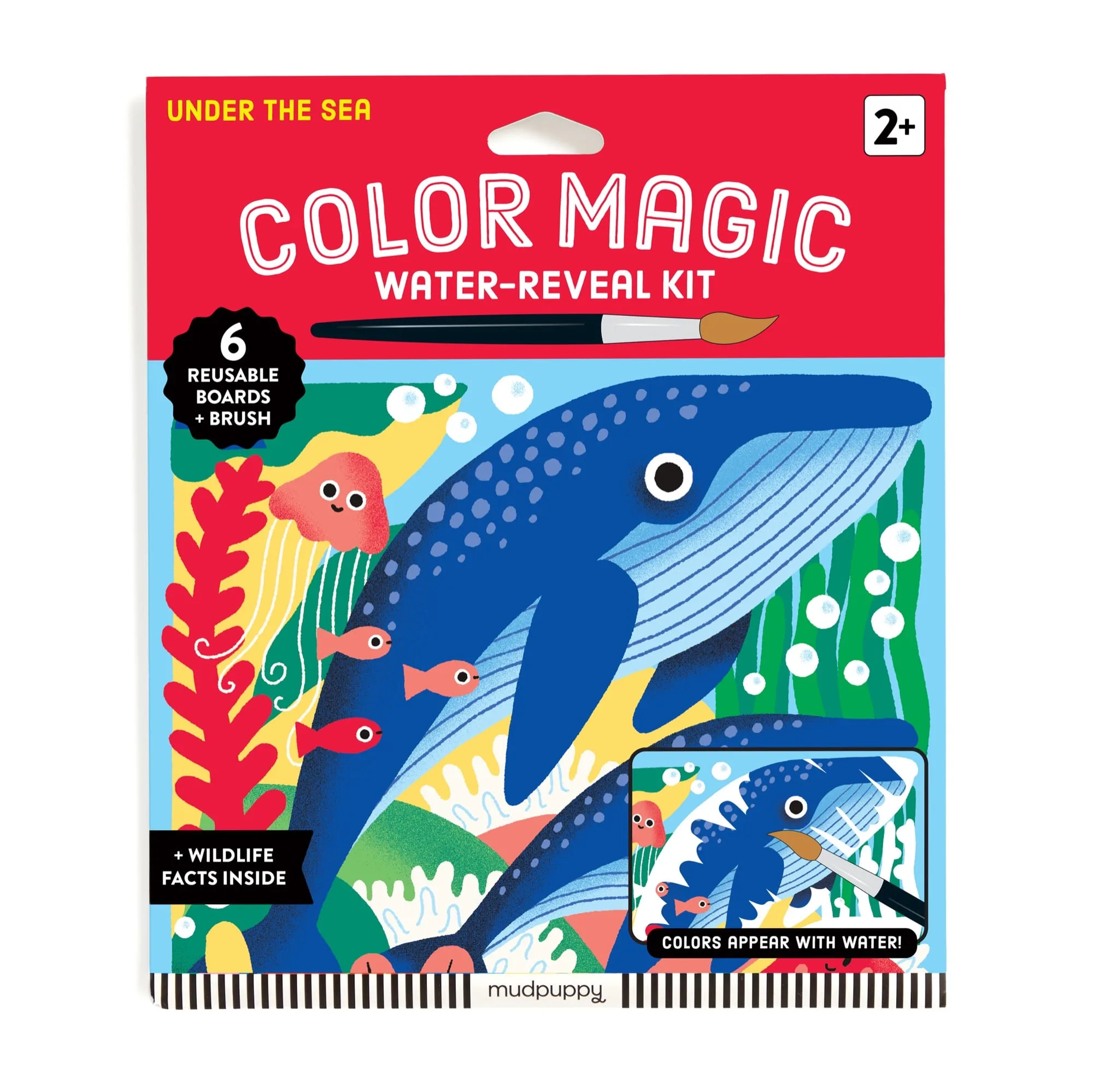 Color Magic Water-Reveal Kits: Mess-Free Art Fun