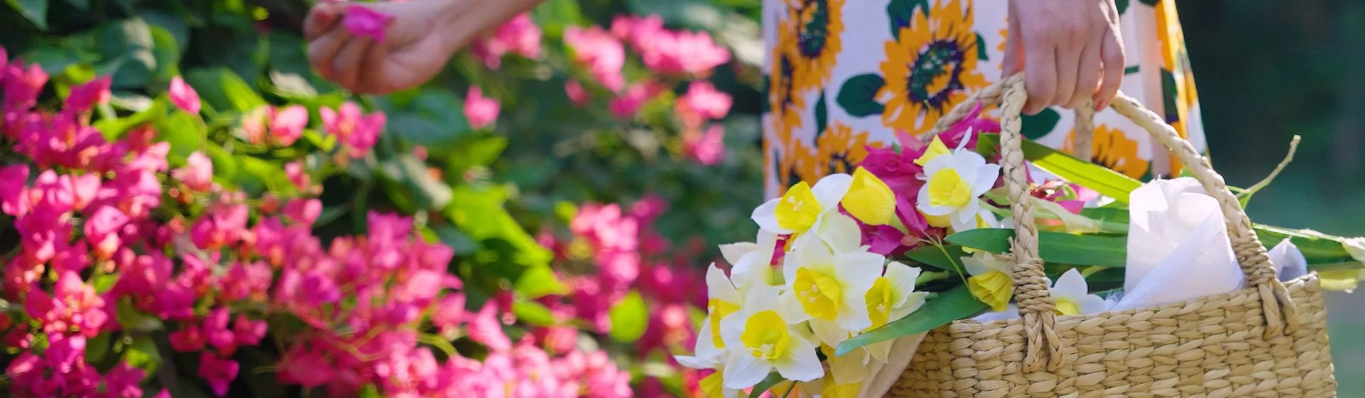 Soundarya Club Loyalty Program| Forest Essentials
