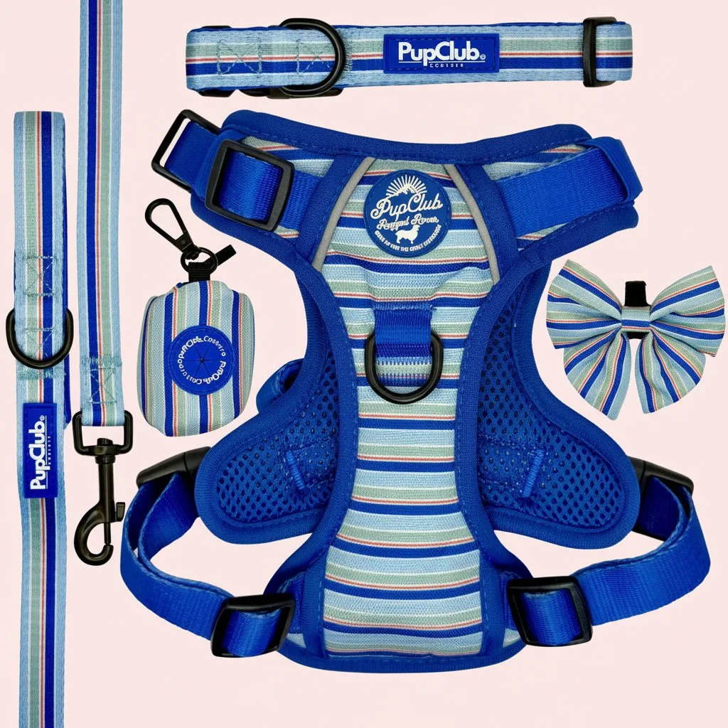 Rugged Rover Harness Bundle: Inside & Setup Guide