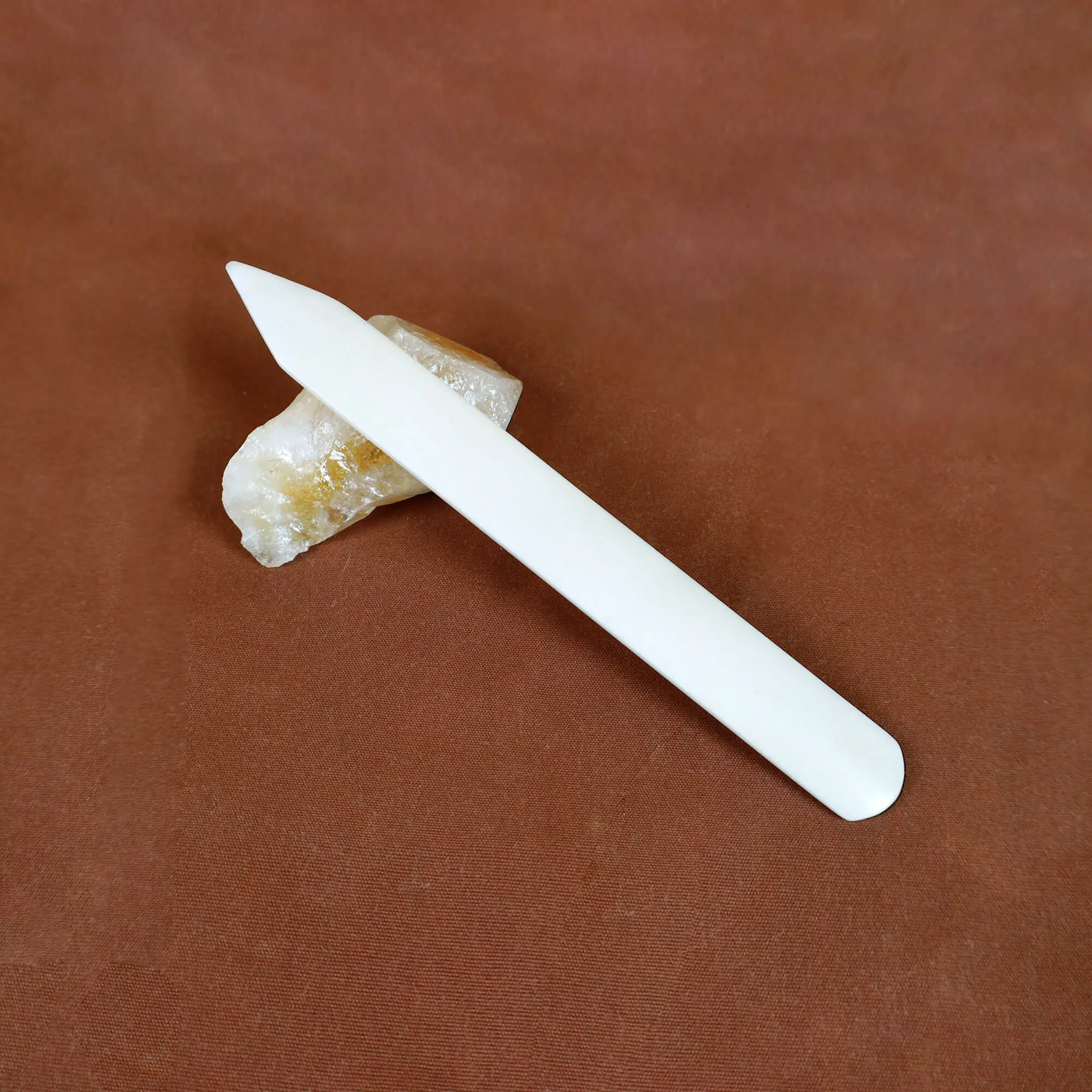 Knochenfalzbein
