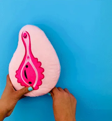 Vagina+Vulva Plushie Zip Storage Pouch - Hooray For The Va-Jay-Jay Plushie