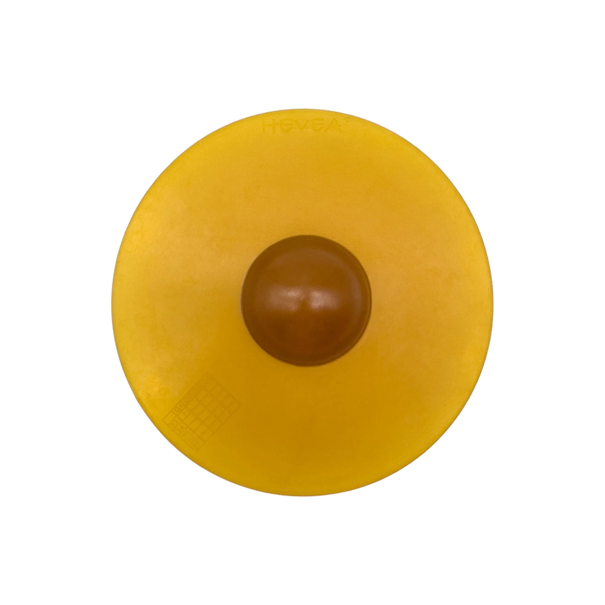Galaxy Dog Throw & Fetch Disc