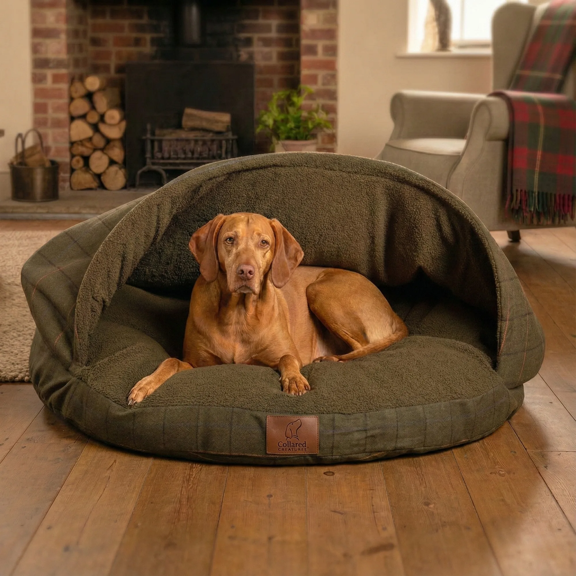 How to Measure Your Dog for a Cave Bed