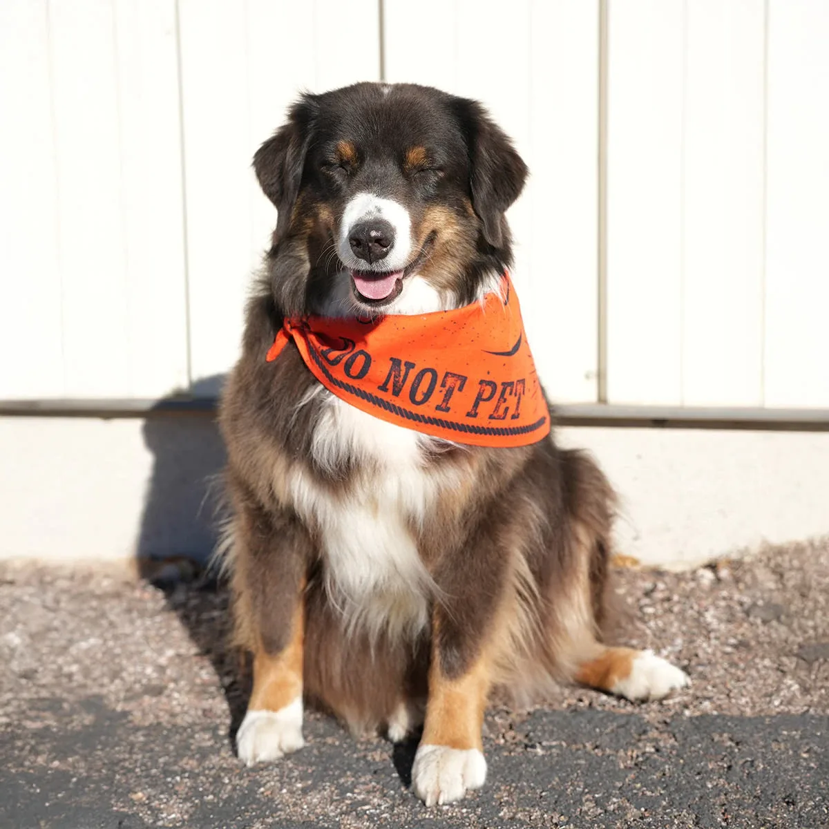Boundary Bandana