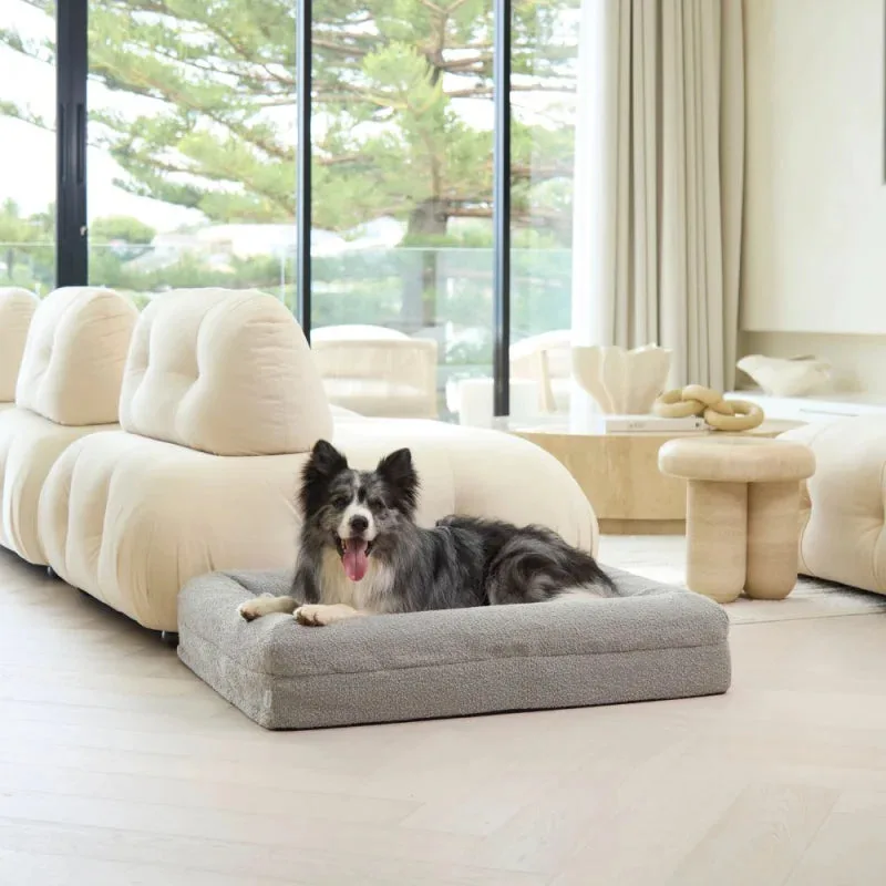 Memory-Schaum-Hundebett - Bouclé Pebble