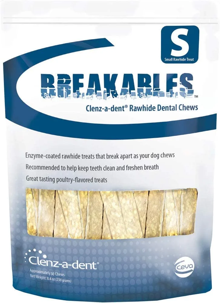 How to Prevent Dental Disease in Dogs: 6 Steps That Actually Work