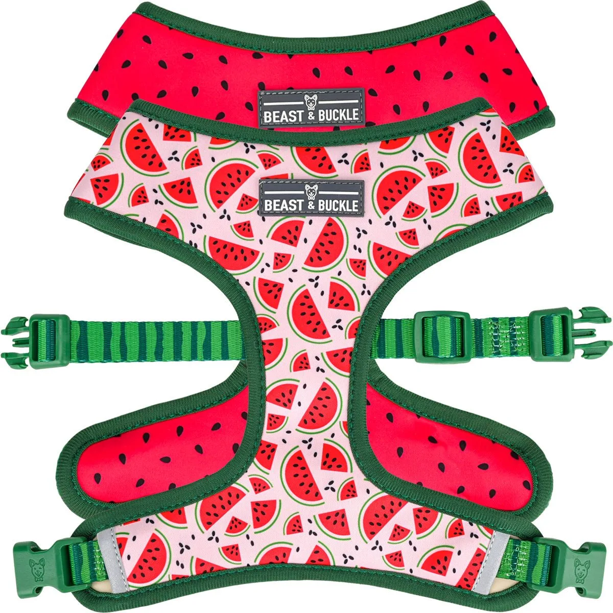 Reversible vs. Standard Dog Harness: Which Fits Your Dog?