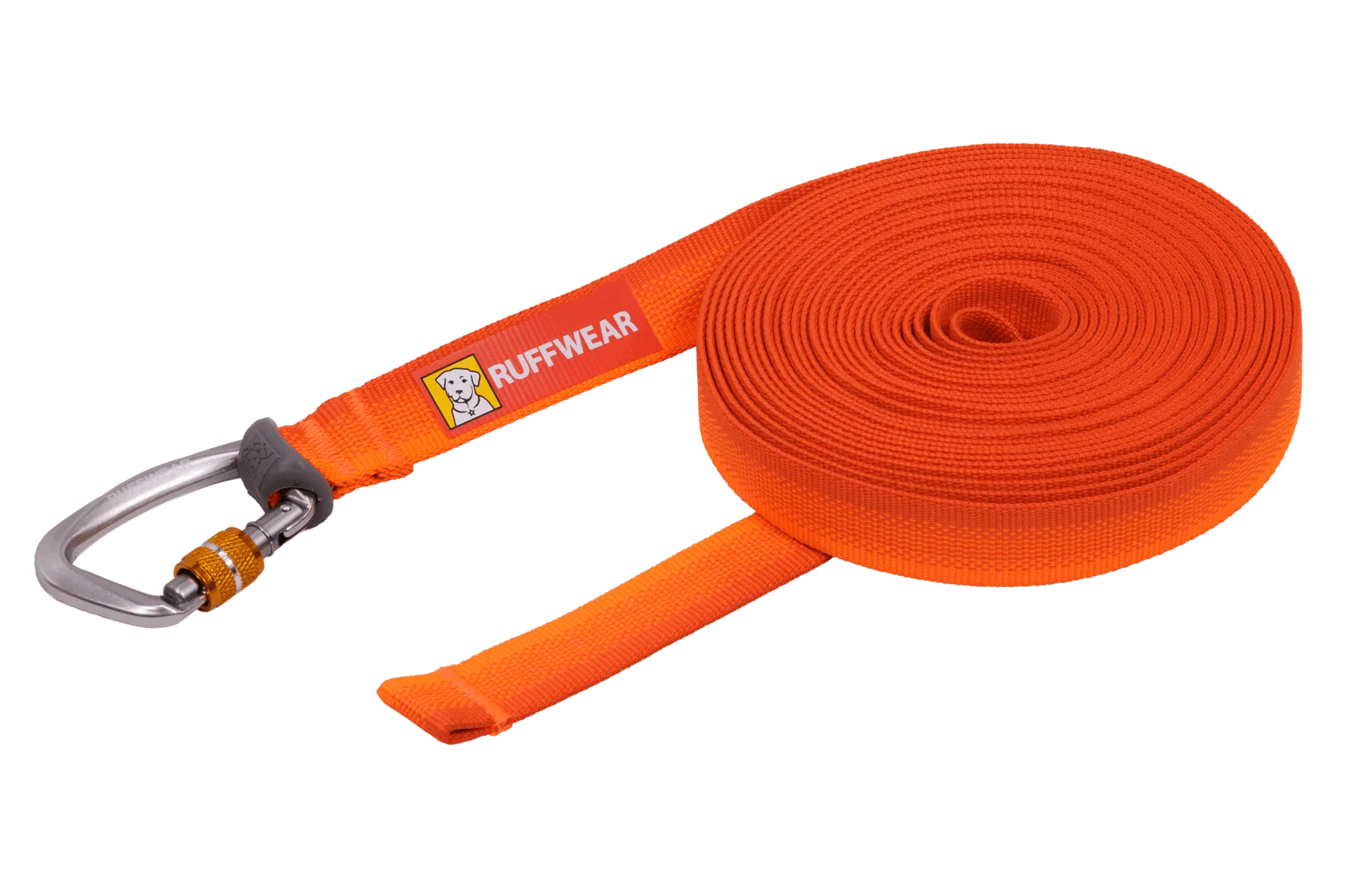 Rogue Long Line vs Flagline Leash: Which Training Leash?