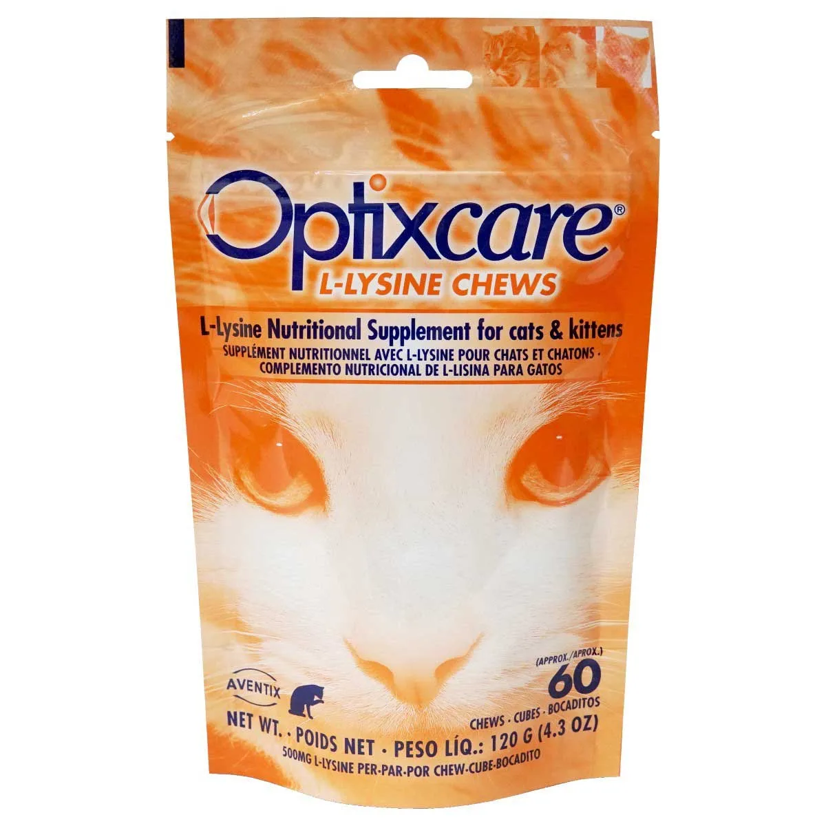 Lisina para gatos: cuándo usar suplementos