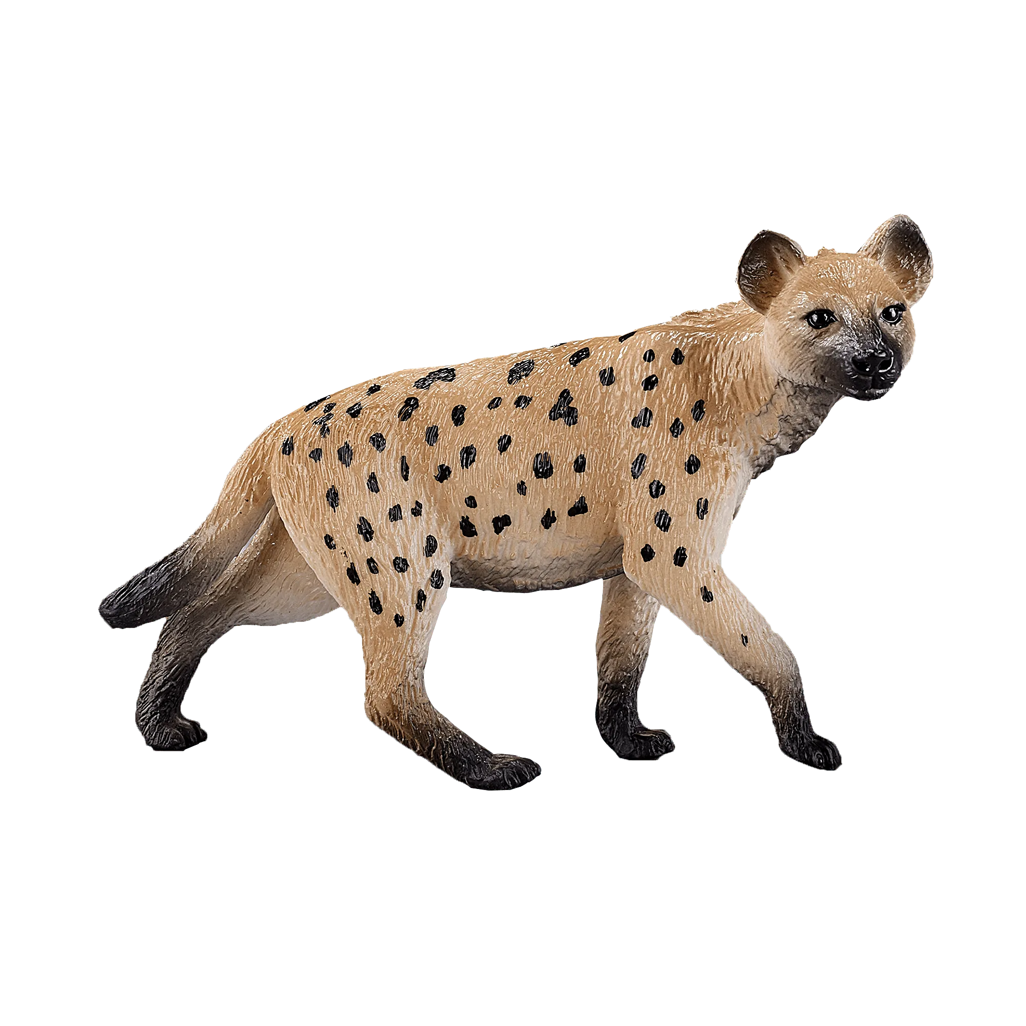 Hyena