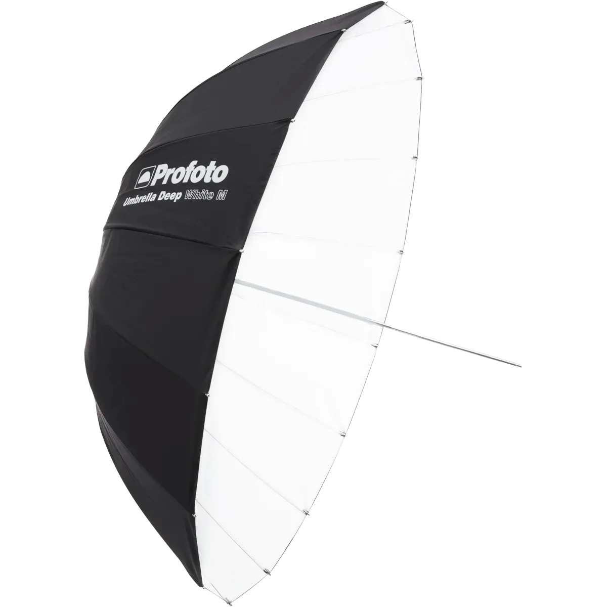 How to Set Up a Profoto Deep White Umbrella M