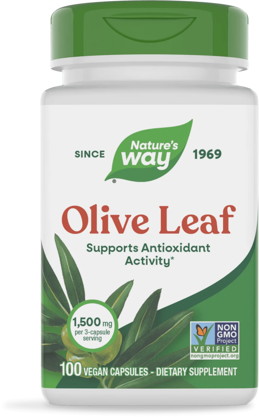 Olive Leaf