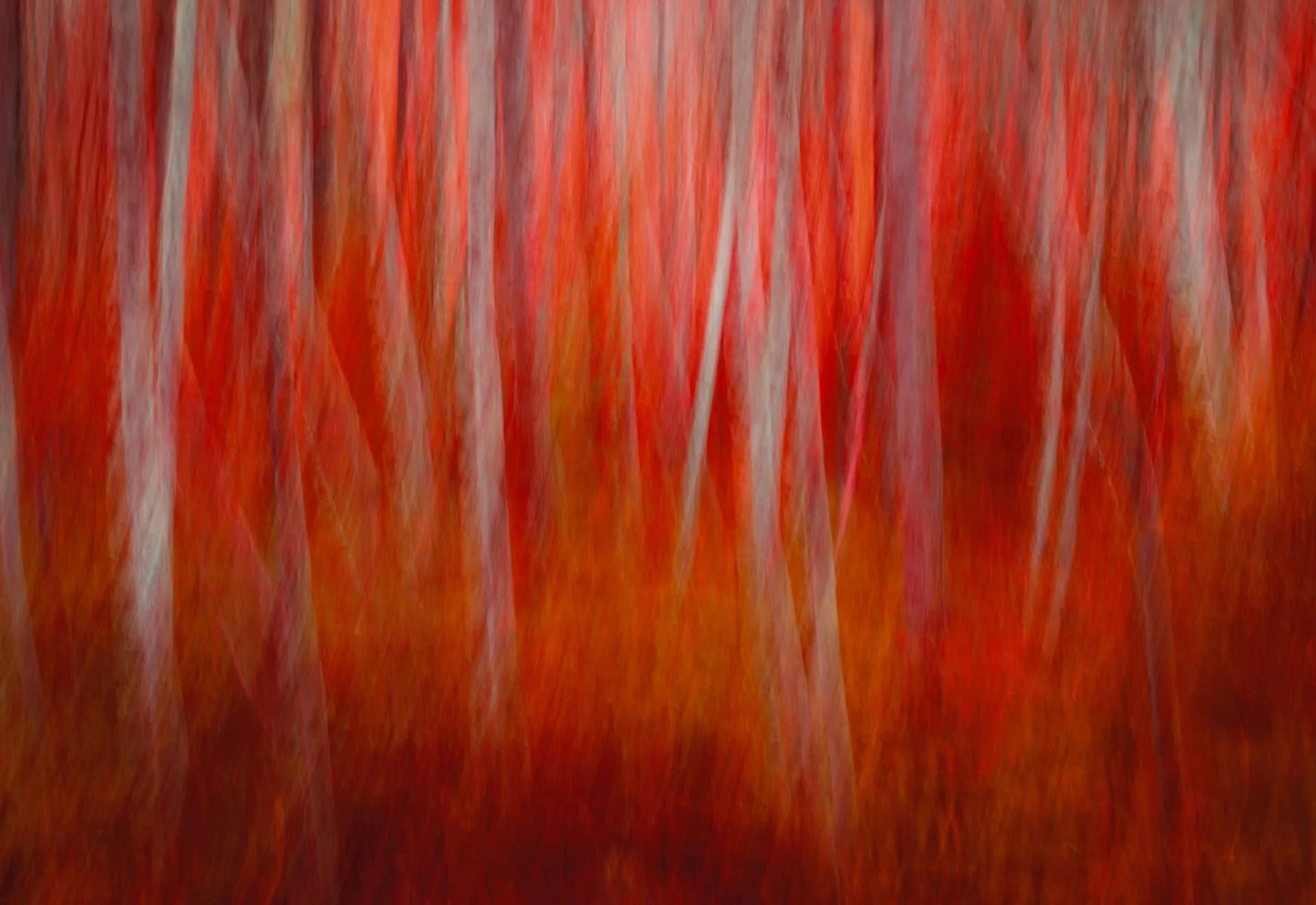 The Art of Gifting Fine Art Photography: A Guide to Selecting Prints for Every Occasion