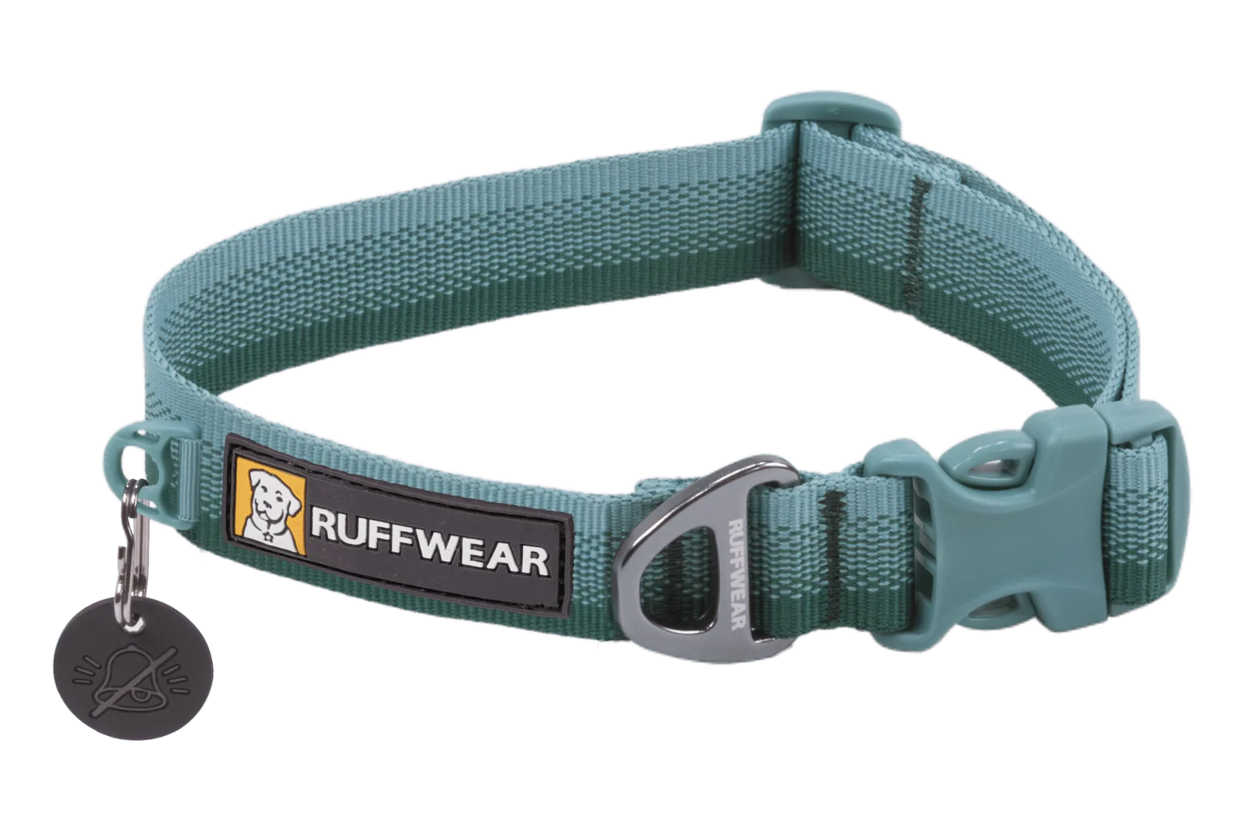 How to Transition Your Dog from a Standard Collar to the Hi & Light Collar