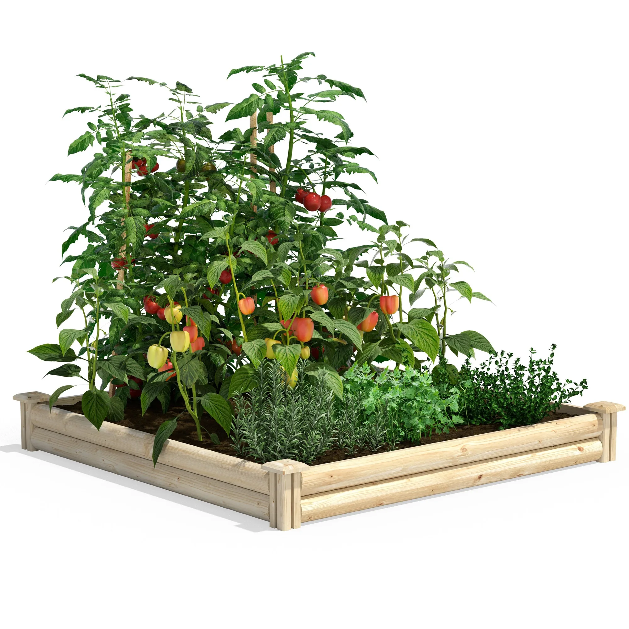 Spruce Raised Garden Bed 4 ft x 4 ft x 5.5 in RCPL446 - 1 Pack for $49.99 or 2 Pack for $79.99