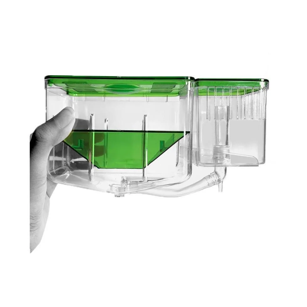 Breeder Box vs Fry Divider: Který je pro váš tank správný