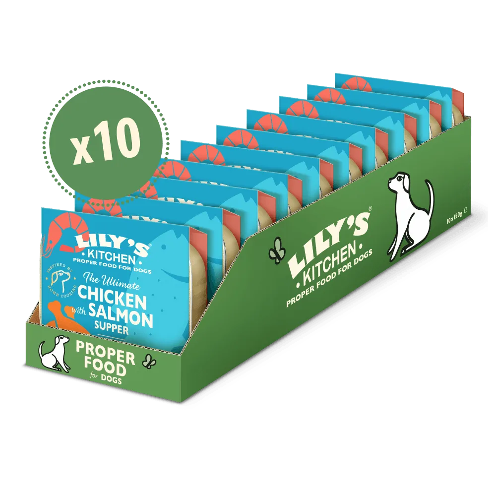 Best Food for Dogs with Sensitive Skin: Grain-Free Recipes and Hypoallergenic Diets