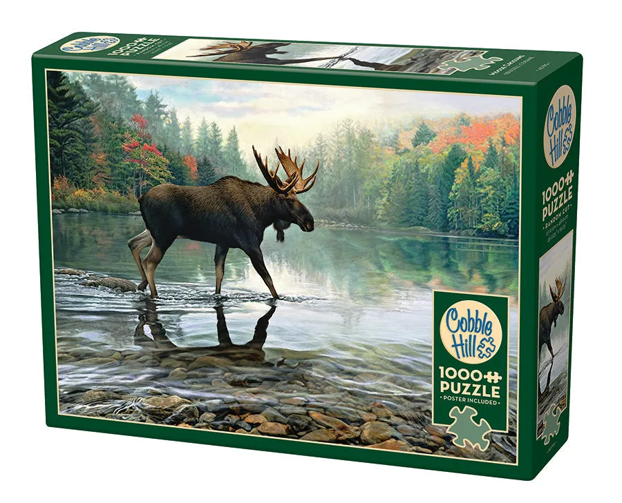 Seasonal Puzzle Ideas for Fall and Winter Evenings: Your FAQ