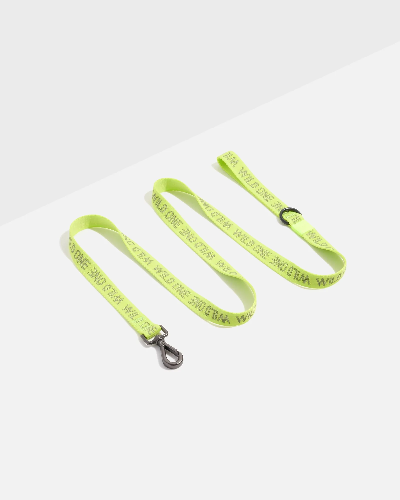 Lightweight Leash vs. Rope Leash: How to Choose the Best for Your Dog