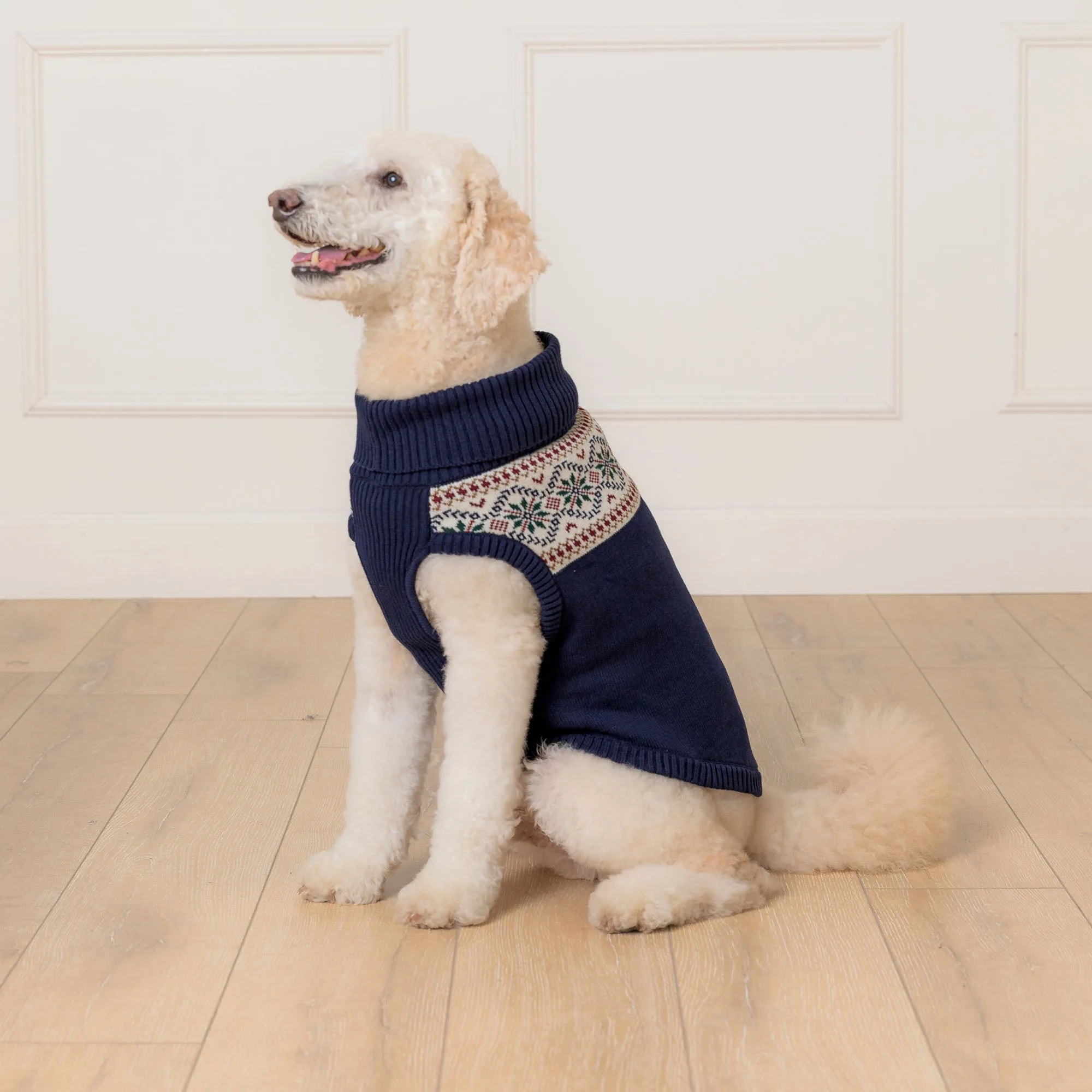 سترة Fair Isle للكلاب مقابل Fair Isle العضوية: ما الفرق؟