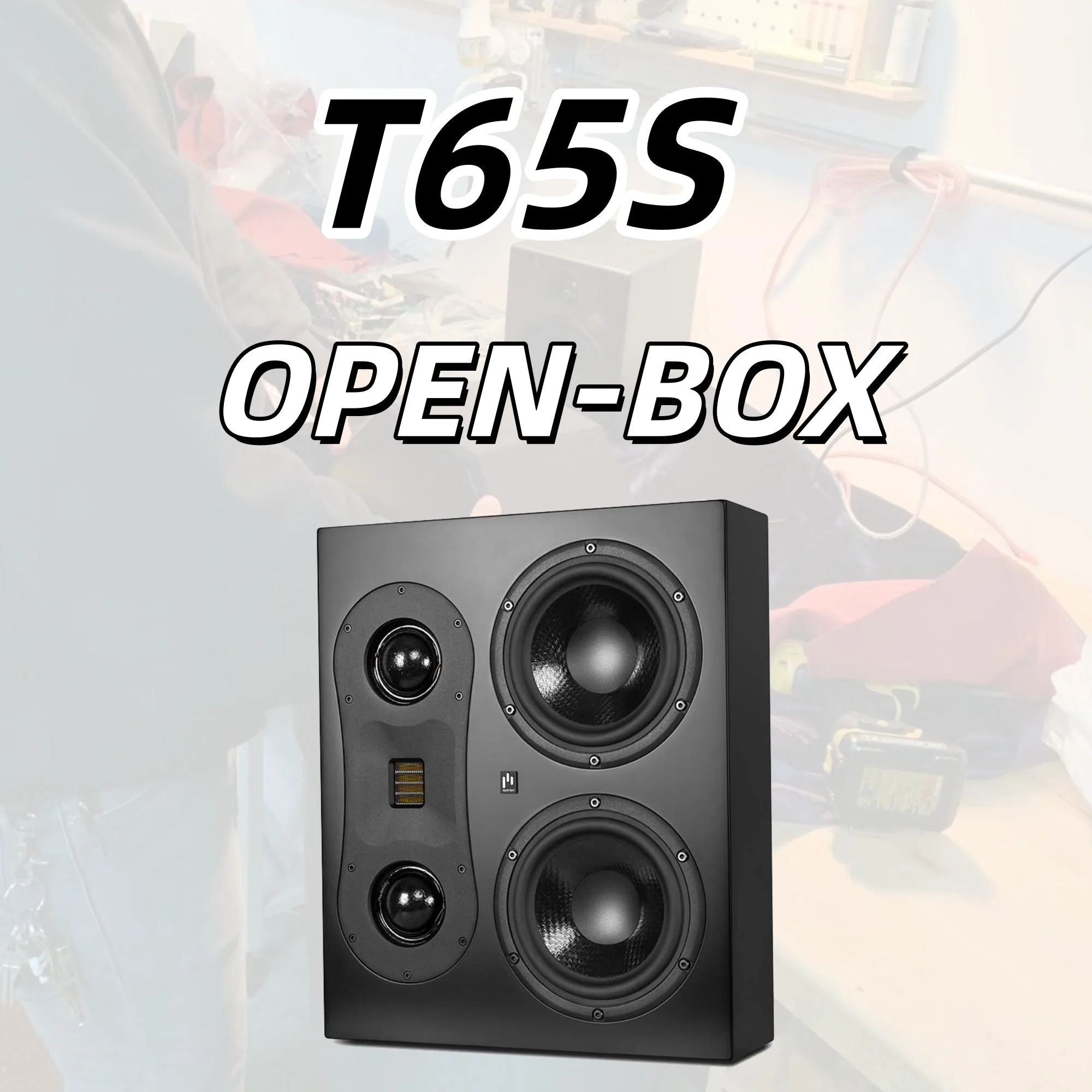 مكبر صوت Theatrus T65S النحيف المثبت على الحائط - صندوق مفتوح