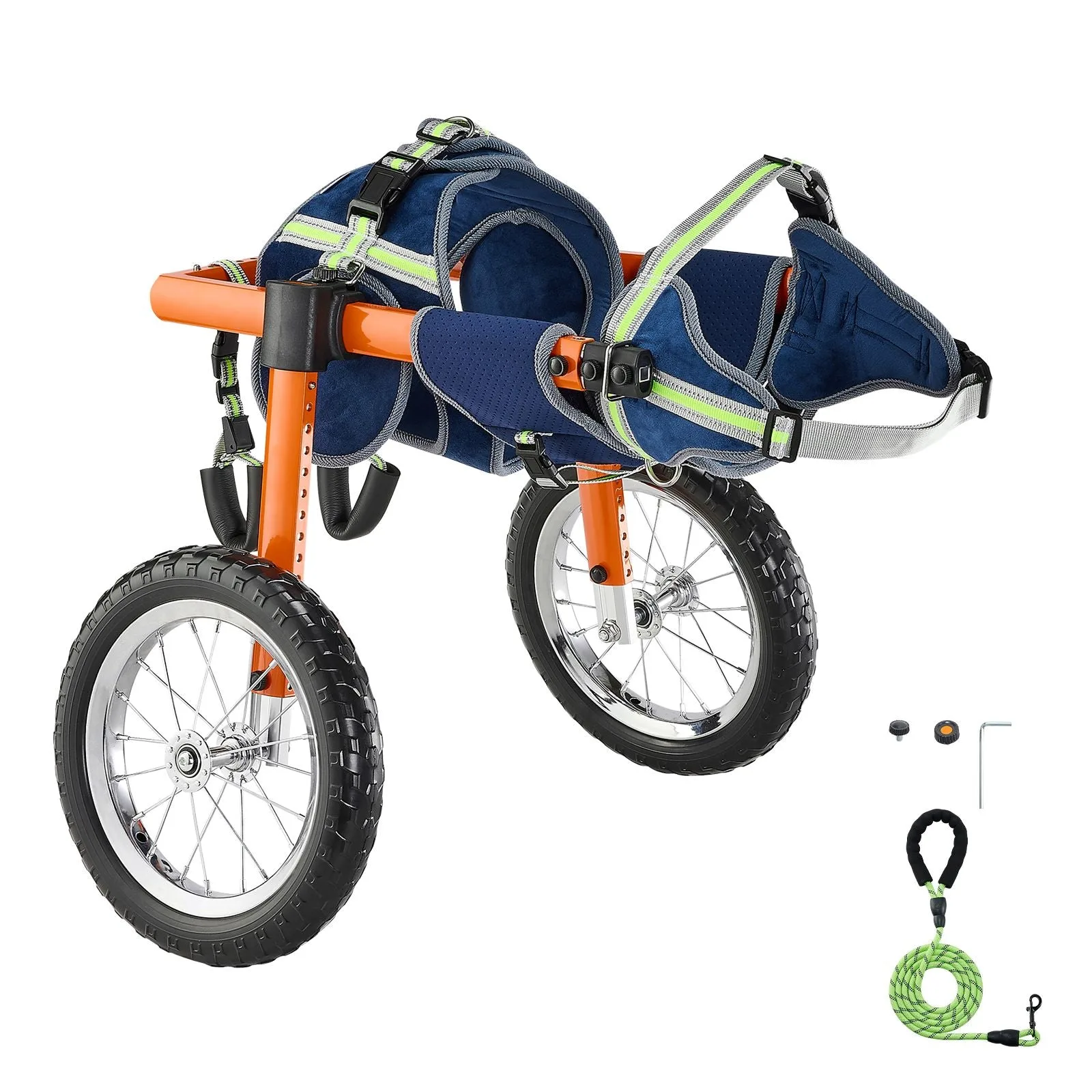 How to Fit a Dog Wheelchair for Back Legs Safely at Home