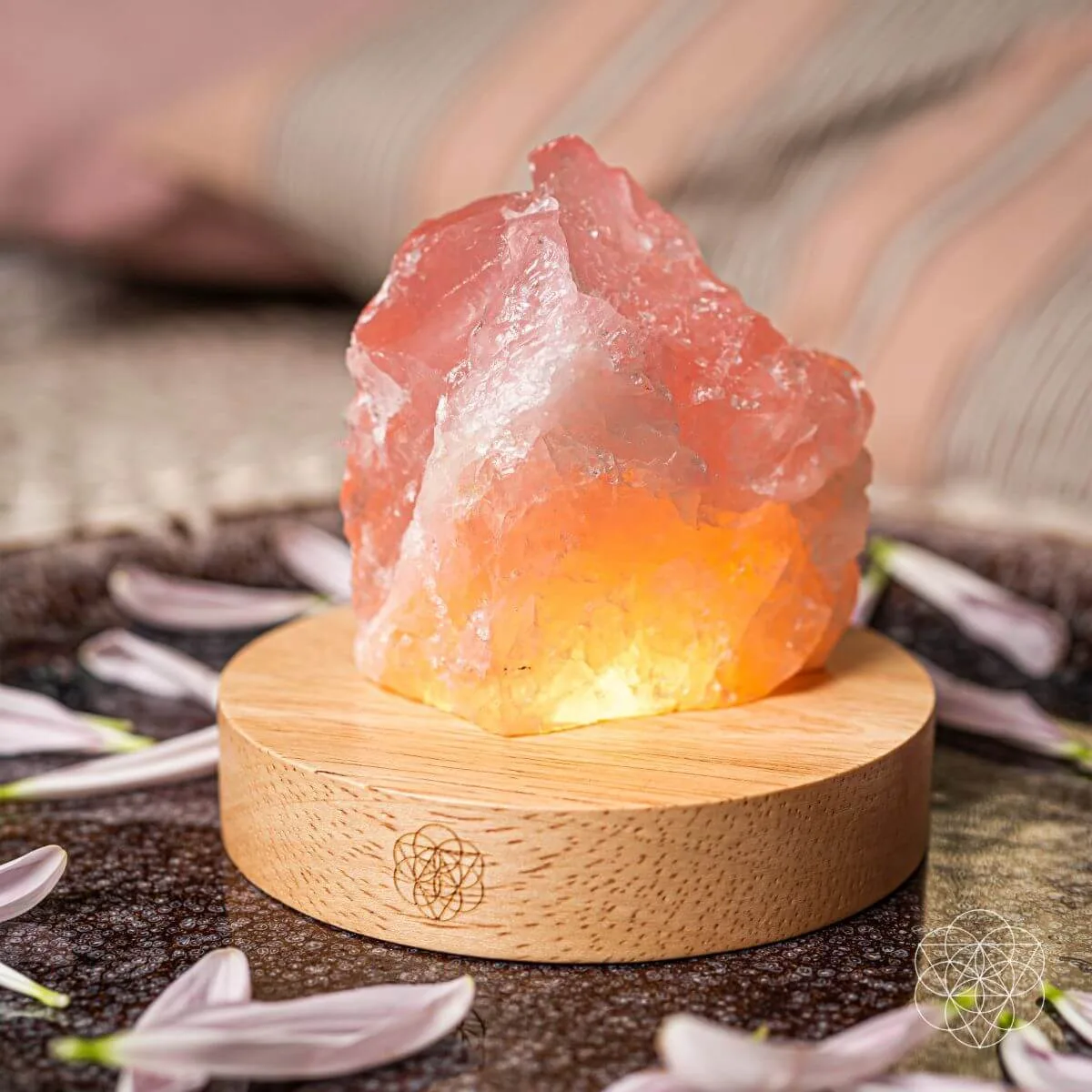 Rare Seraphinite Pendant Review: Is the Angel by My Side Worth the Hype?