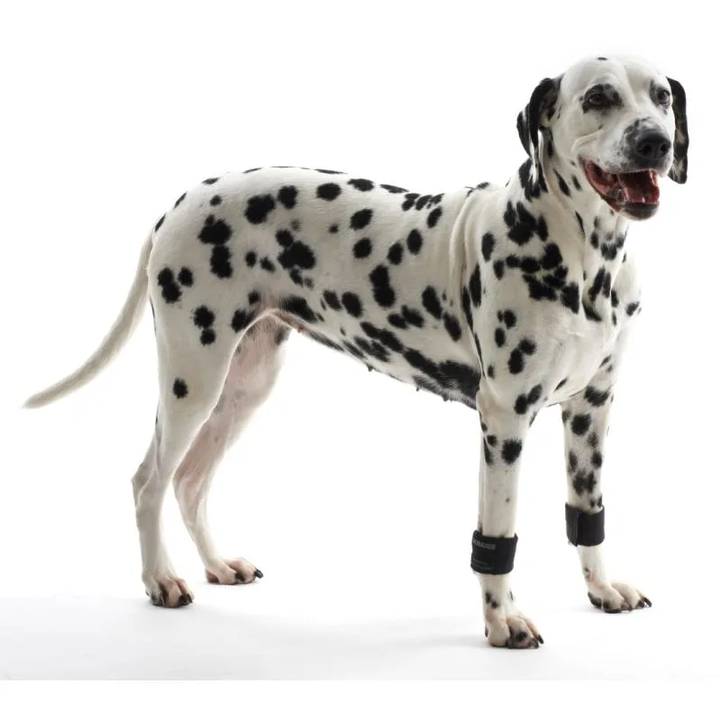 Poignets lestés KRUUSE Rehab pour chiens, 1 paire