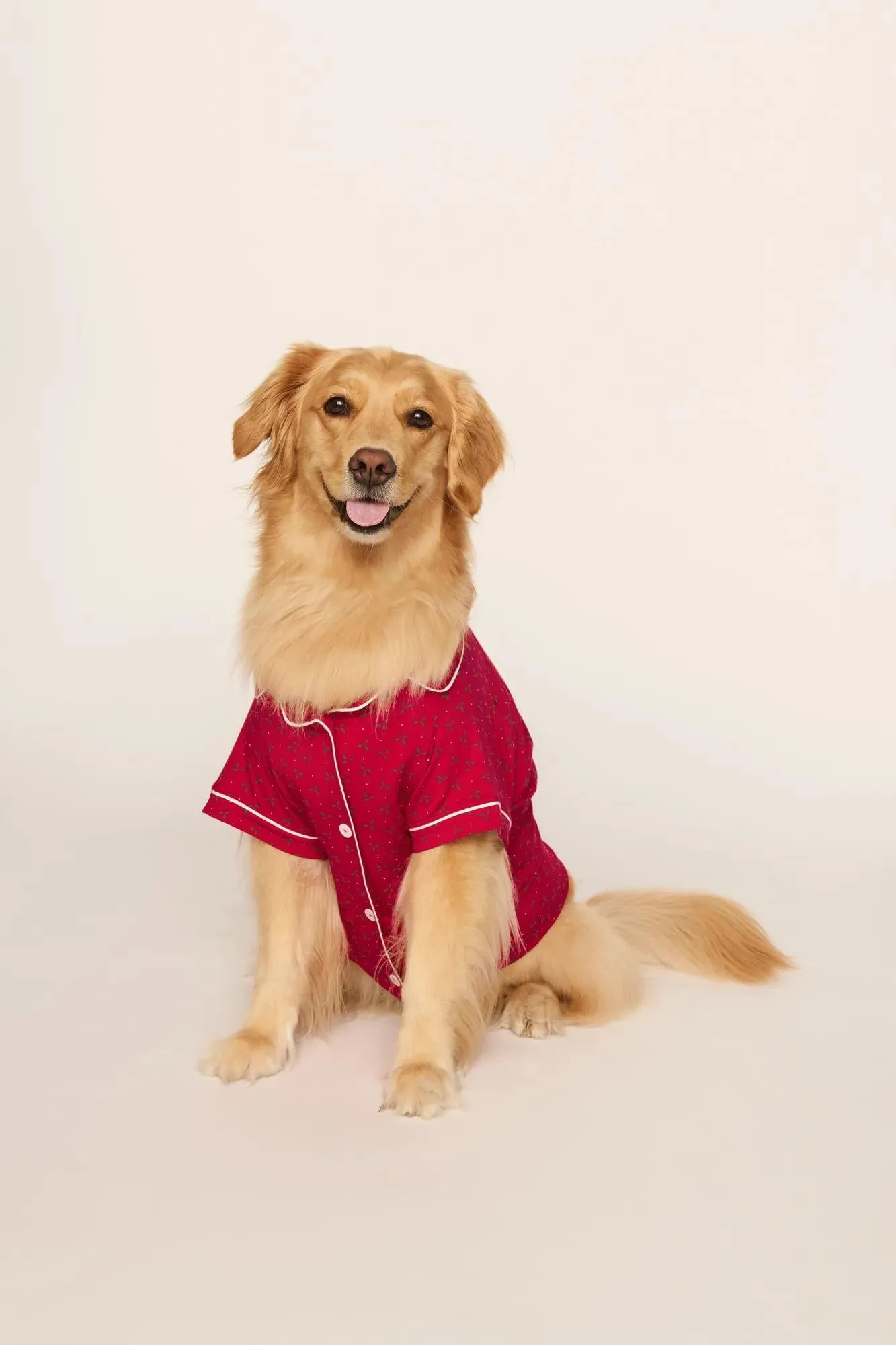 Comment entretenir les pyjamas pour animaux TENCEL Modal