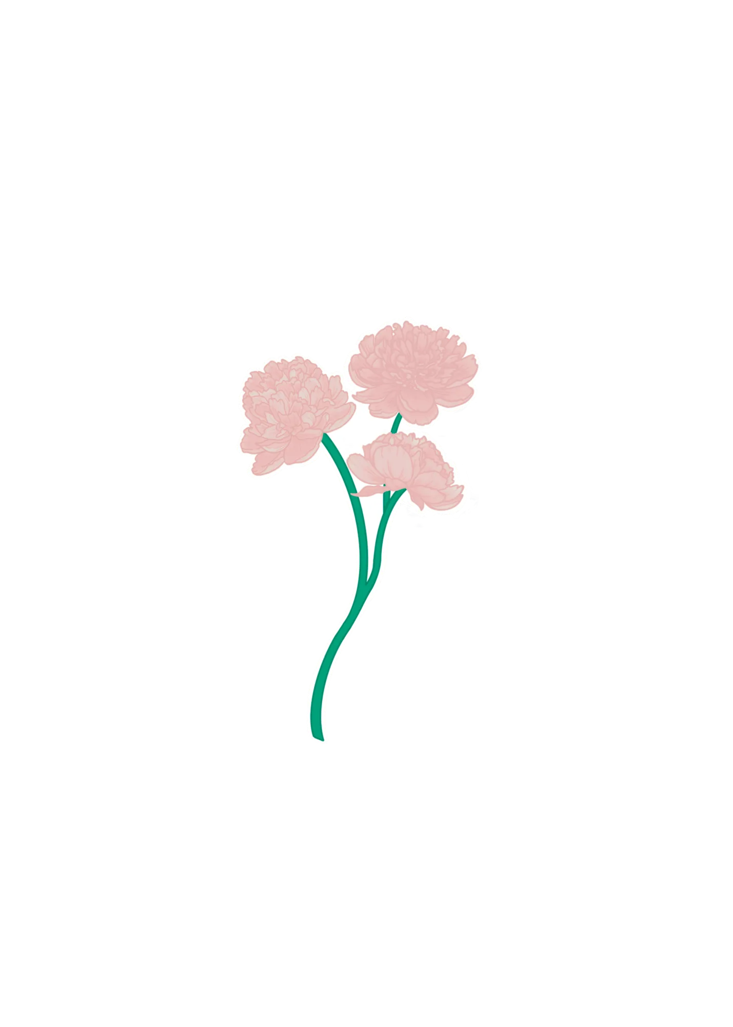 Autocollant Trio de Pivoines : Idées Déco Florales