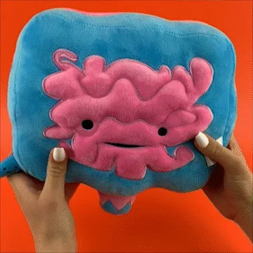 Peluche intestino - Go With Your Gut! - Peluche a forma di organo cuscino
