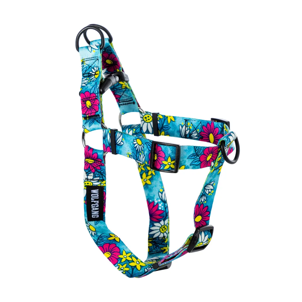 How to Properly Fit a Dog Harness: Step-by-Step Guide & Common Mistakes