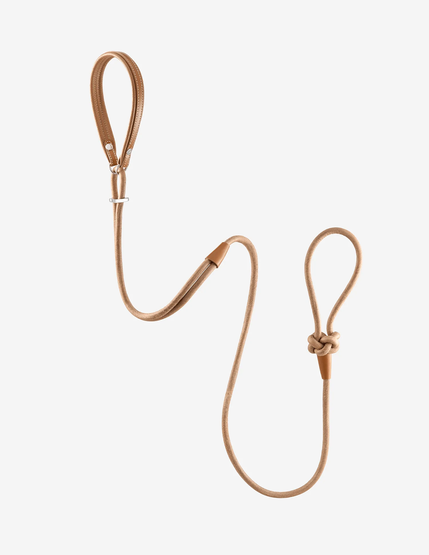 How to Choose the Right PAGERIE Collar or Harness for Your Dog's Size and Temperament