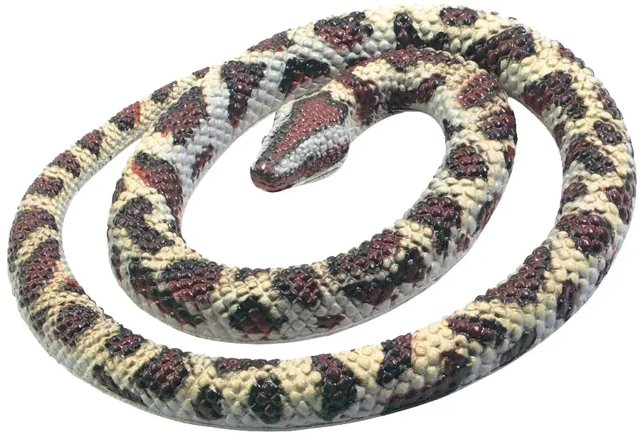 How to Clean and Store a 26-Inch Rubber Snake