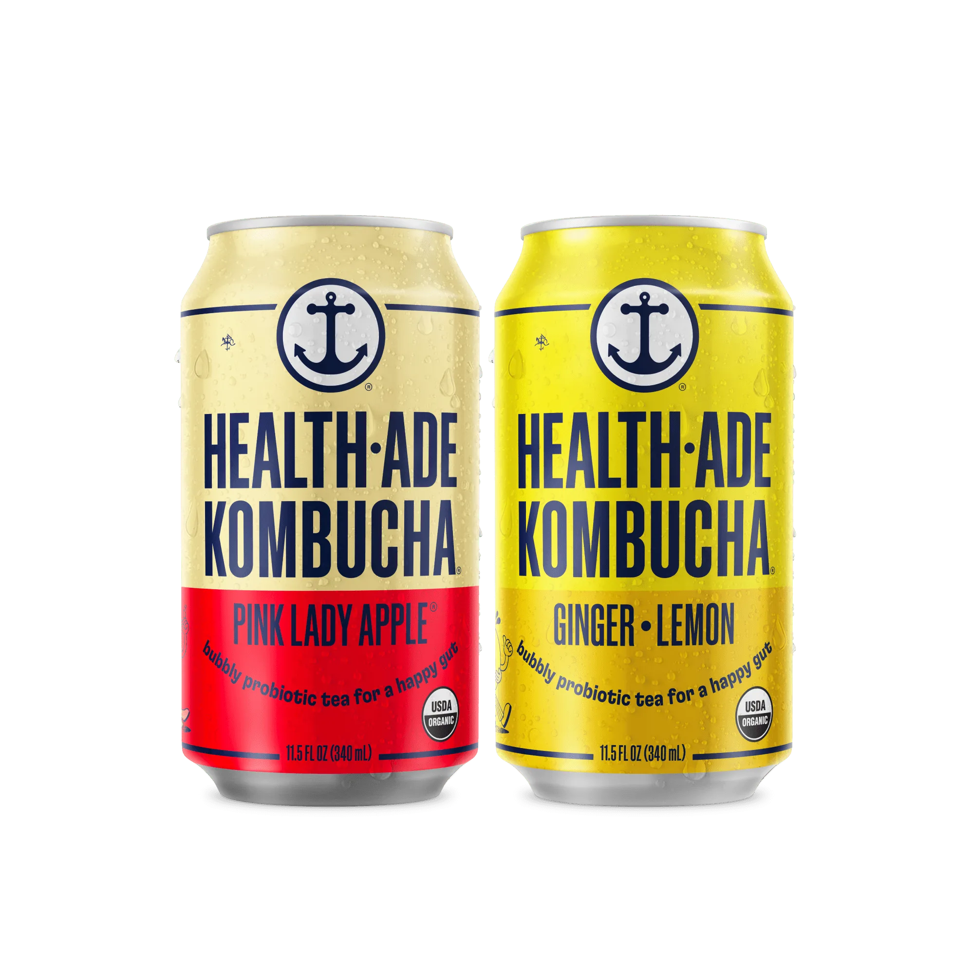 Health Ade Bright Side Variety Pack vs Fruity Favorites: Which Kombucha Pack Should You Buy?