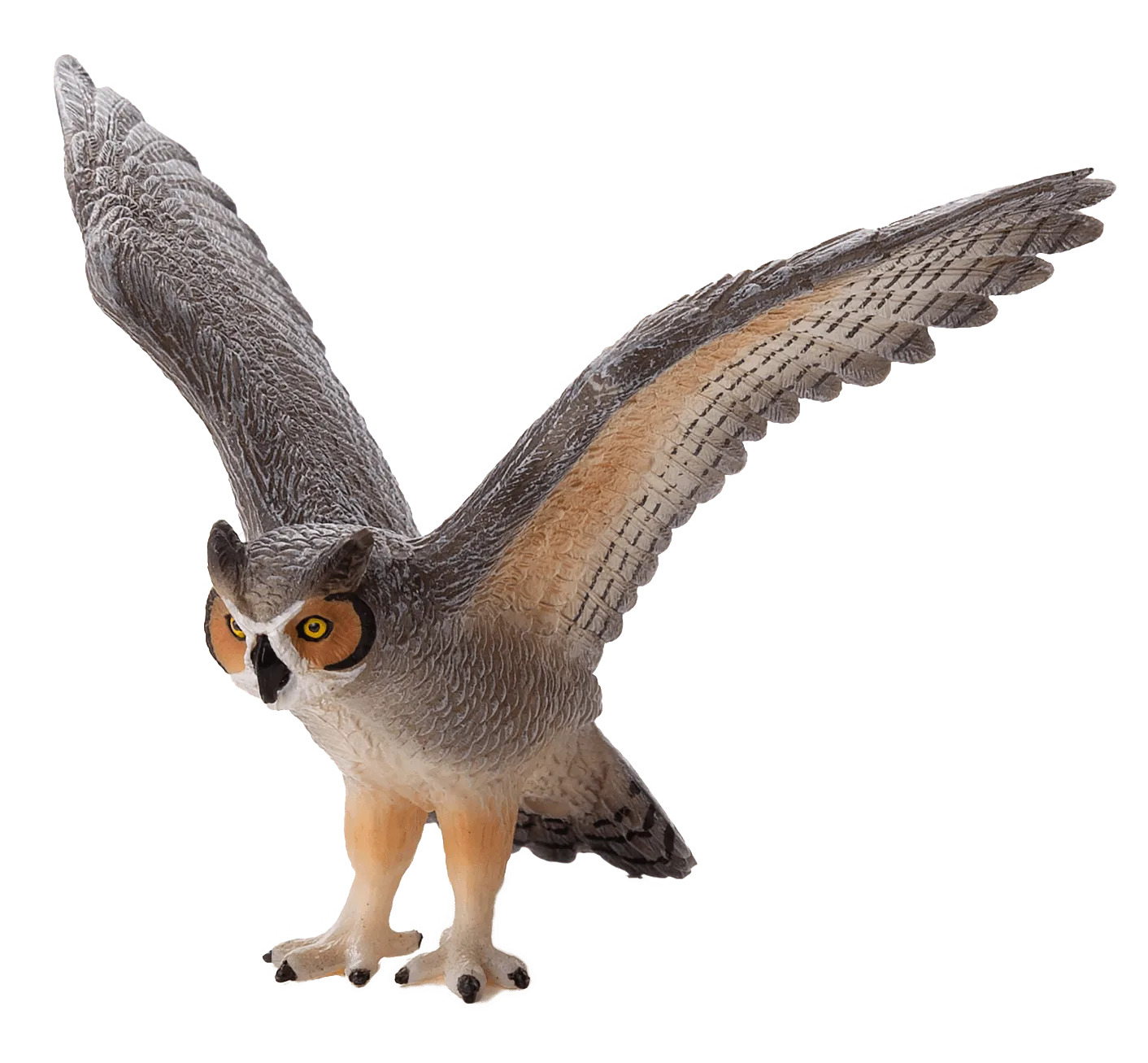 Great Horned Owl