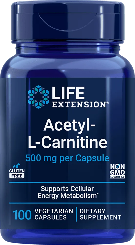 Acetyl-L-Carnitine vs Acetyl-L-Carnitine Arginate: Key Differences