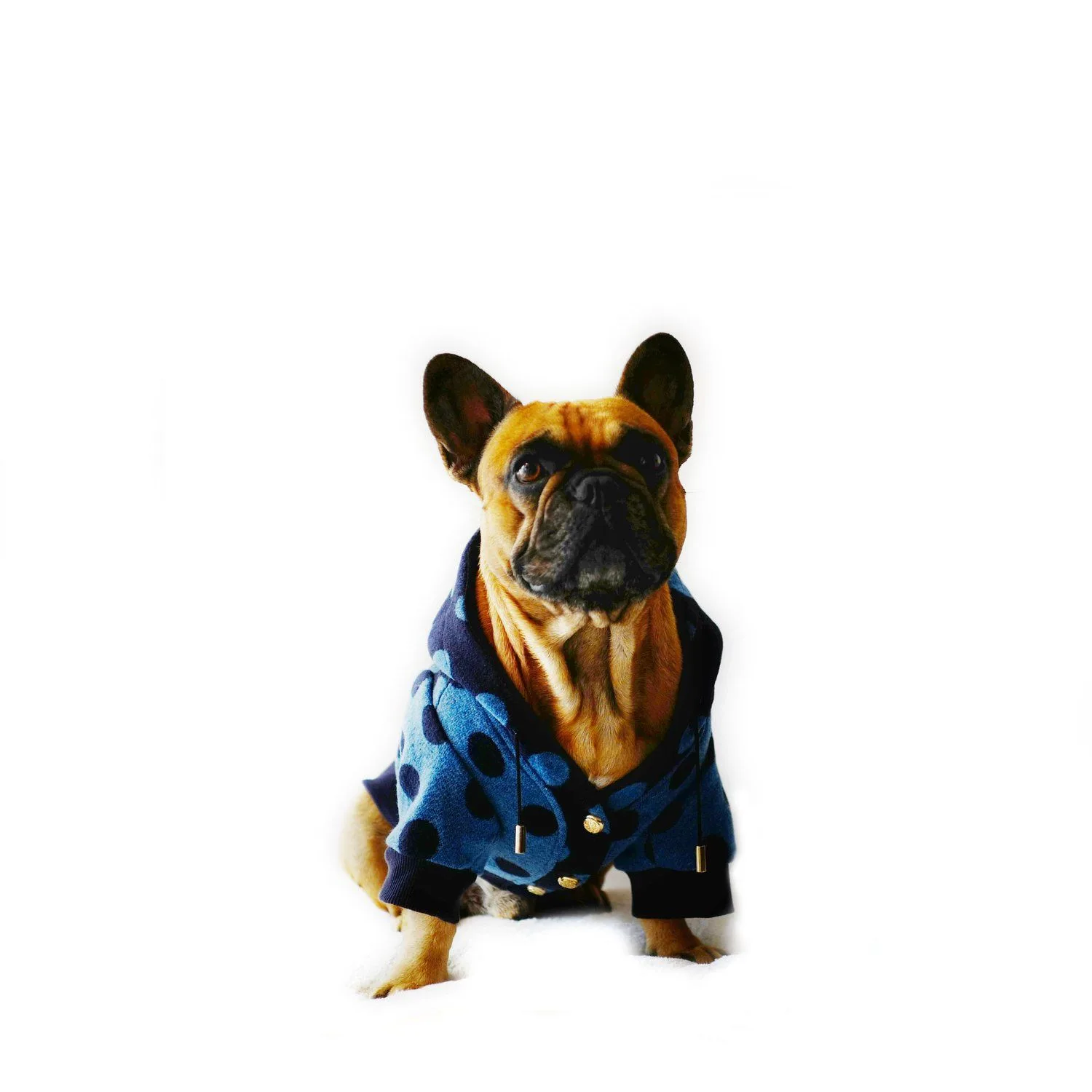 5 Signs Your Dog Needs a Sleeveless Coat Instead of a Full Teddy Bear Coat