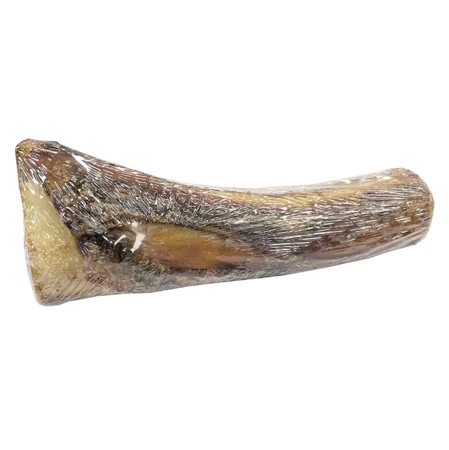 CHEWMAX Center Cut Meaty Beef Bone 7-8″