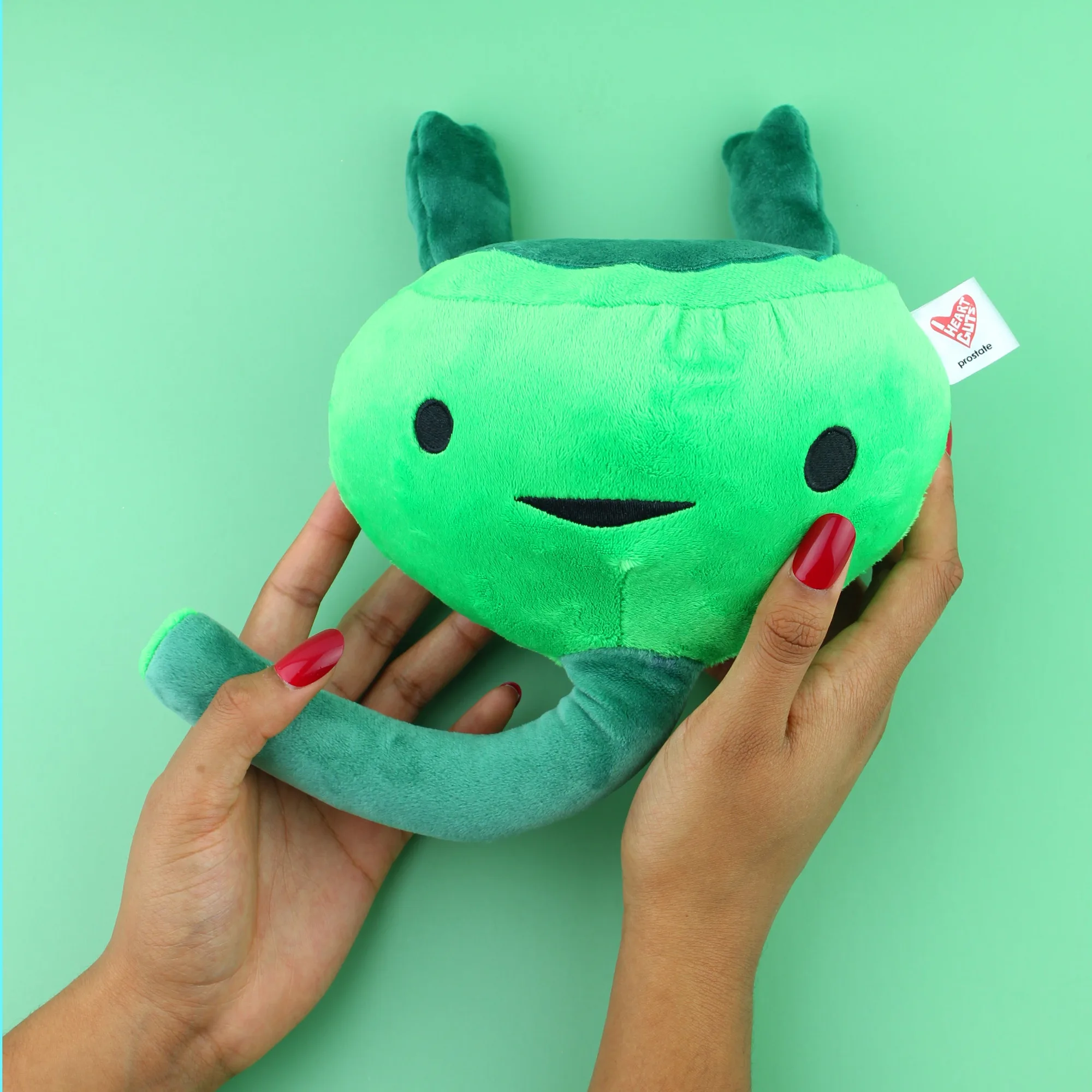Cómo limpiar y exhibir tu peluche de próstata
