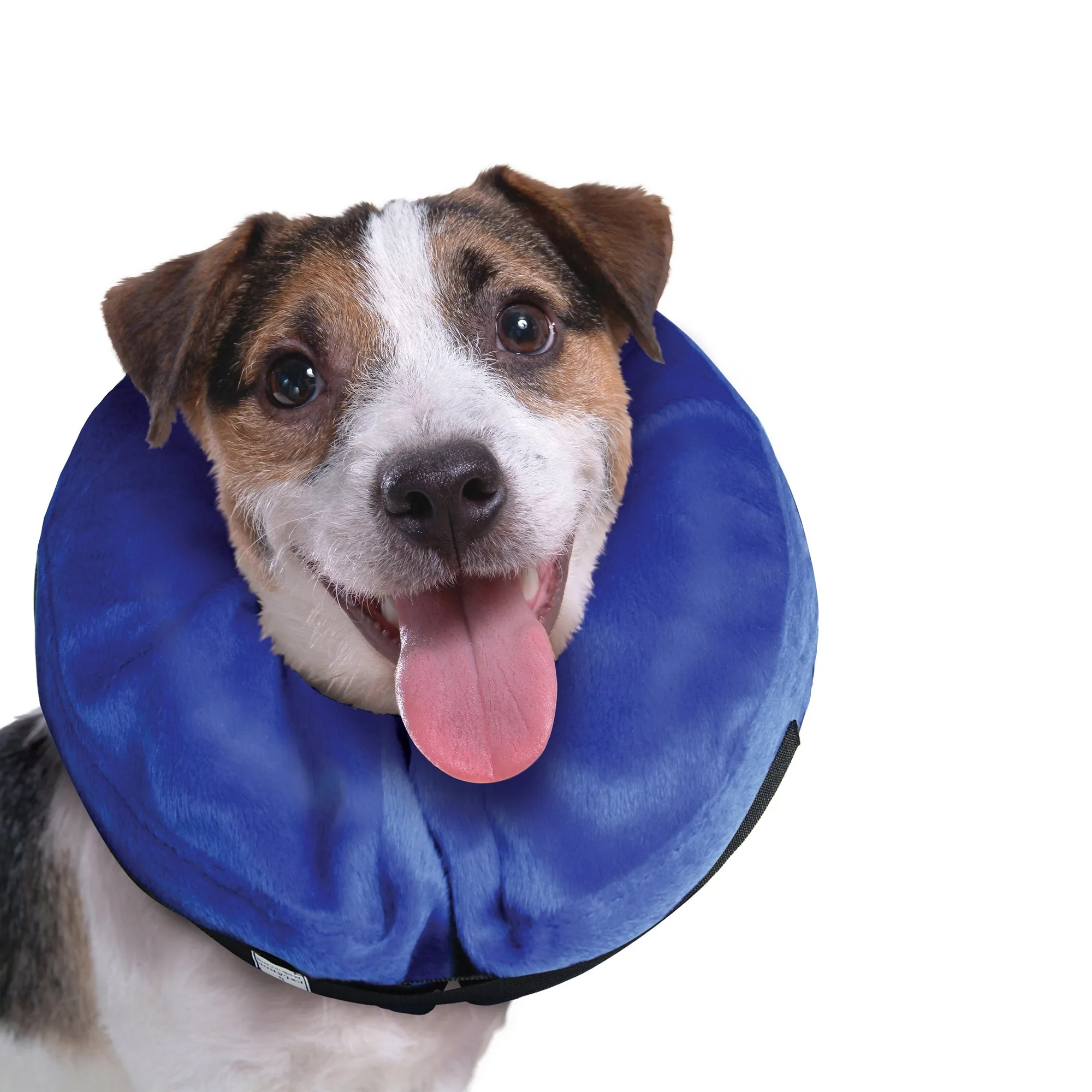 Kong Cloud Collar vs. Alternativen zur Hundeerholung