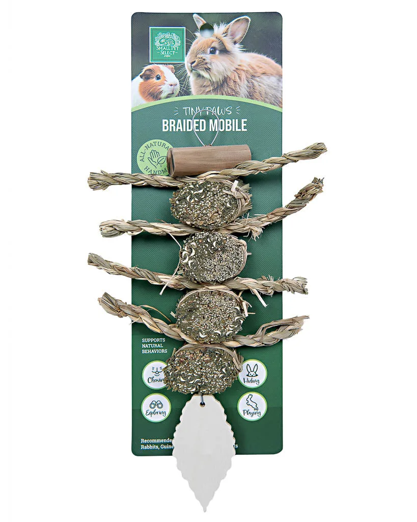 Top 5 brinquedos de mastigar naturais para coelhos e porquinhos-da-índia