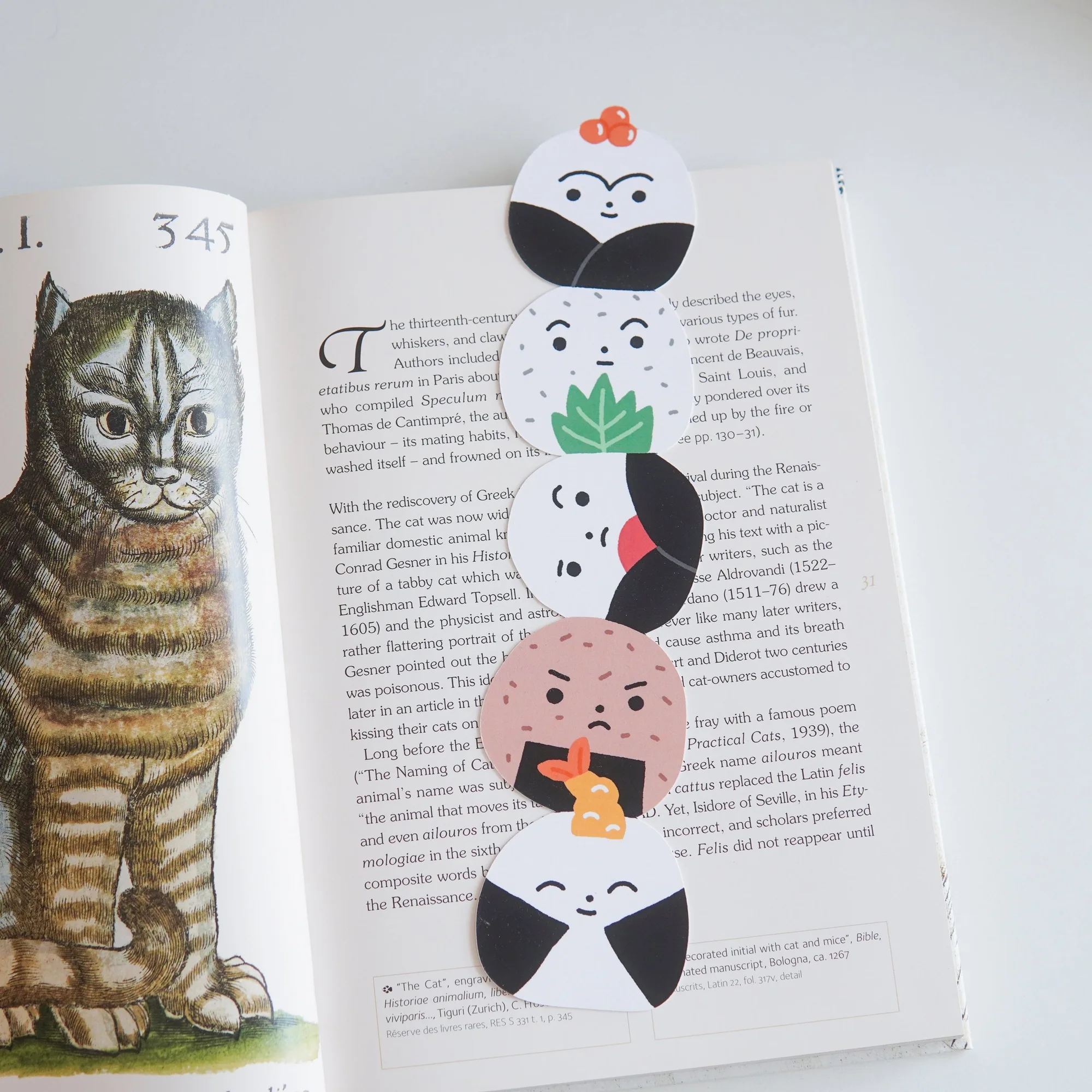 Onigiri Stack Bookmark: How to Use It for Reading