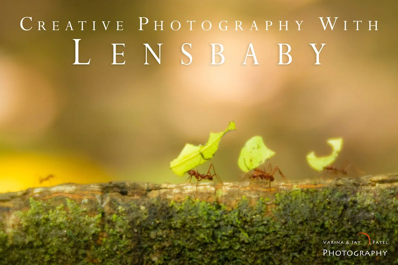 Usar Lensbaby para fotografía creativa: preguntas frecuentes