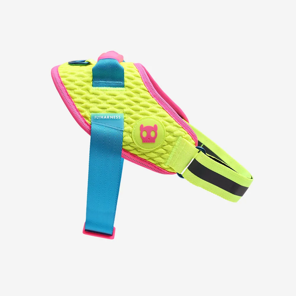 Ruff Leash 2.0 vs. Original Ruff Leash: What's New?