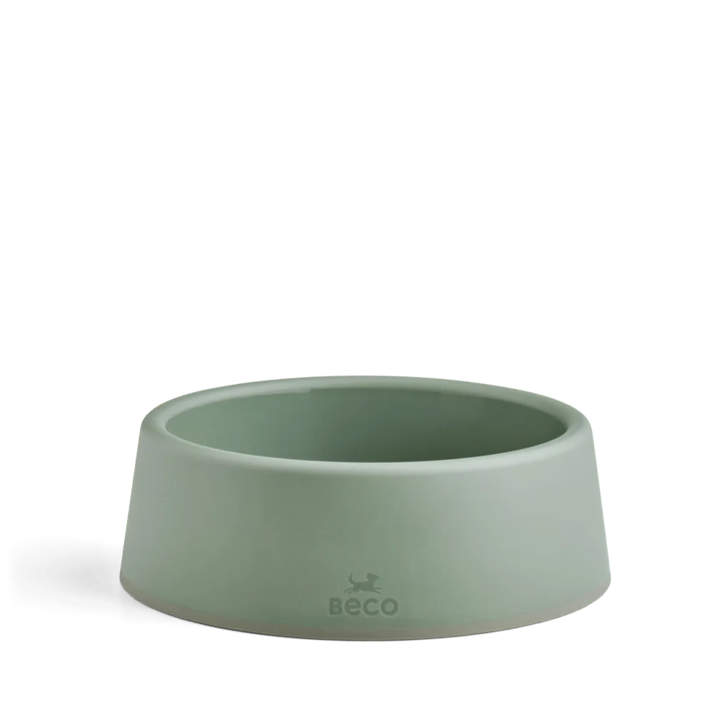 Steady Dog Bowl