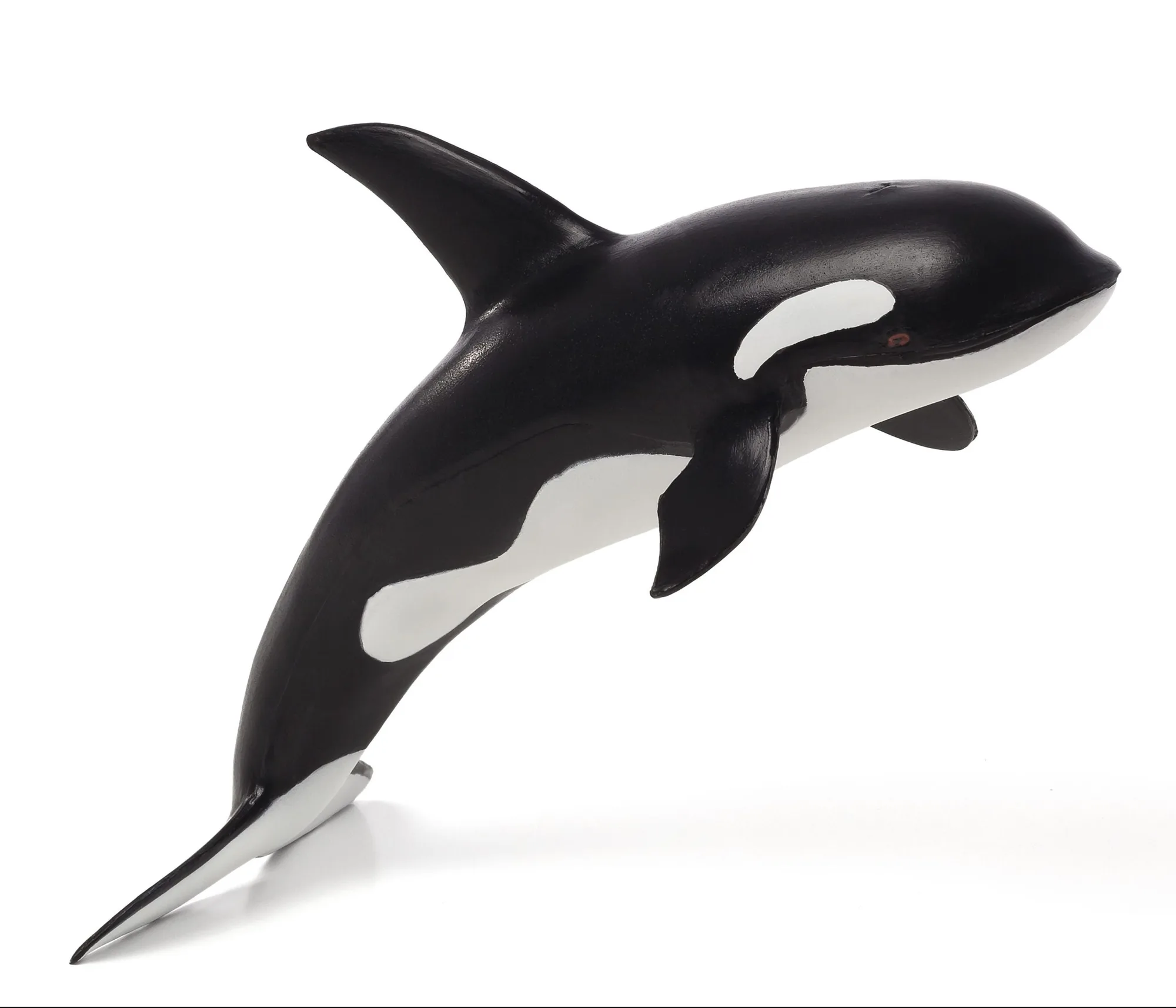 Orca Deluxe vs Orca Male: Which Killer Whale Figure Fits Your Collection?