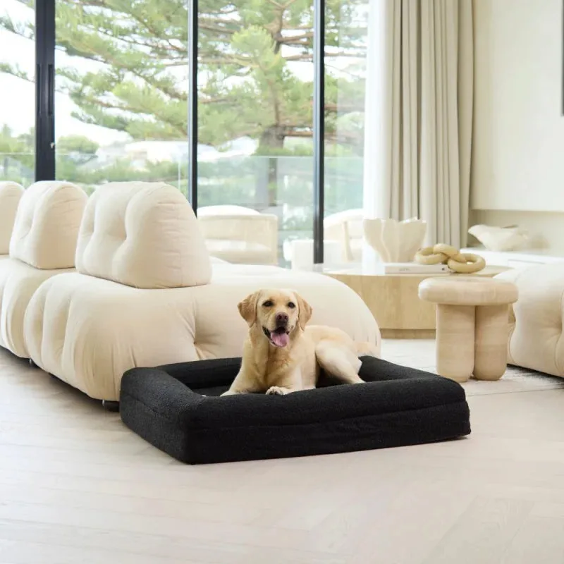 Memory Foam Dog Bed - Bouclé Nero
