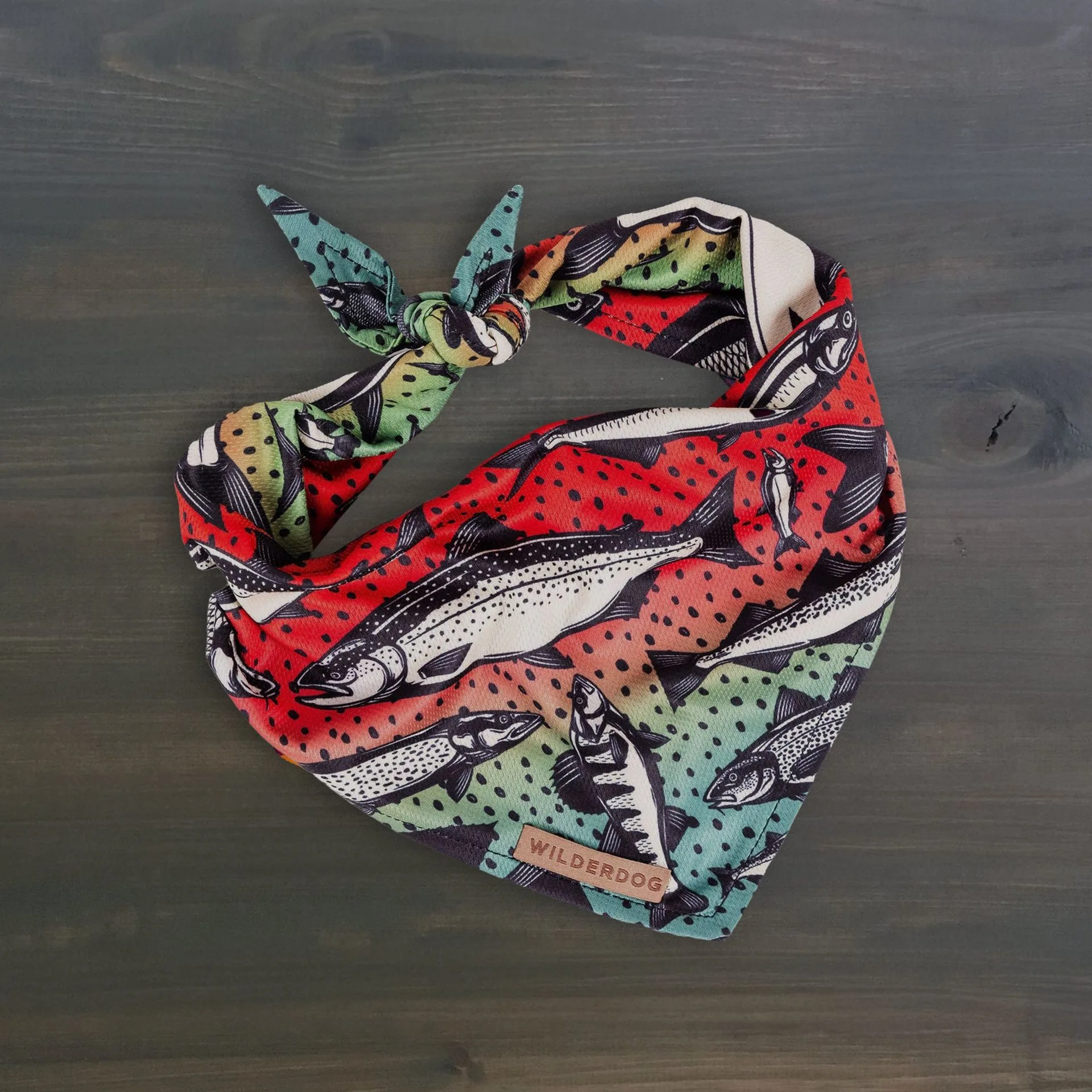 Buying Guide: How to Choose the Perfect Dog Bandana for Your Adventure Pup